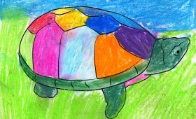 Painted Turtles